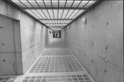 The walkway